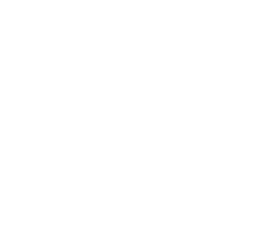 adultseoservices.com