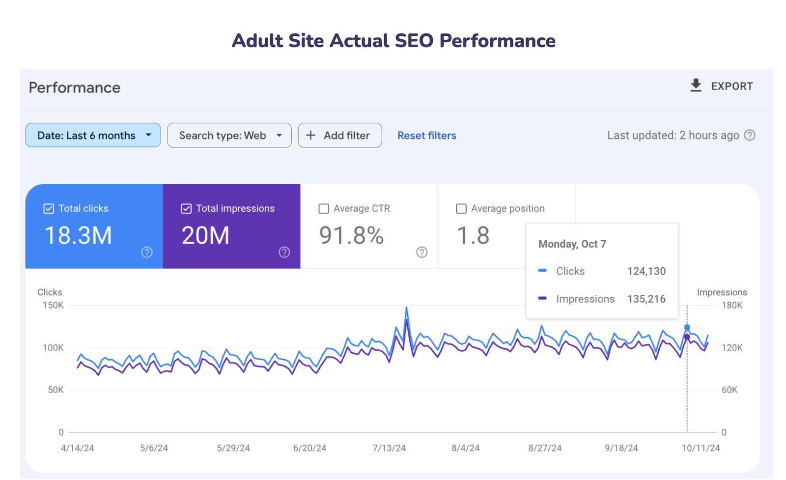 Adult SEO Services Performance